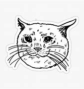 Image result for El Gato Sad Cat Meme