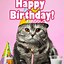 Image result for Funny Cat Birthday Cards Free