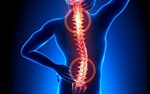 Image result for Chiropractor Image Modernized