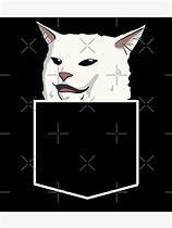 Image result for Walter White Cat Meme
