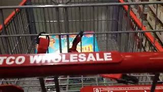 Image result for New Costco Carts