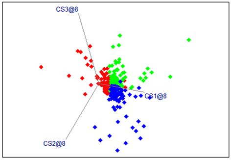 Image result for Algorithm Applications and Examples