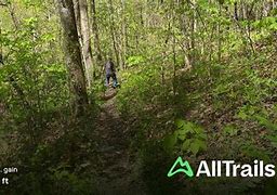 Image result for Four Falls Trail Near Big Flat Ark