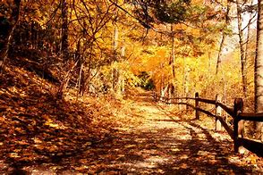 Image result for Fall Trail in San Diego