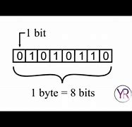 Image result for Types of Bytes