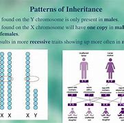 Image result for Proto Genetic Inheritance