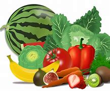 Image result for Healthy Eating Picture Diagram Transparent