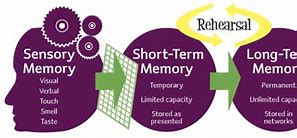 Image result for Memory Types