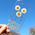 Image result for Cute Flower iPhone Case