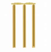 Image result for Cricket Sign