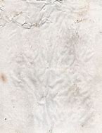 Image result for Dirty White Paper Texture