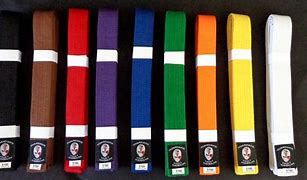 Image result for All Color Belts in Karate