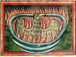 Image result for Phoenix Bestiary