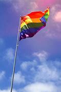 Image result for Meme Bandeira LGBT