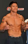 Image result for List of Current UFC Fighters