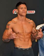 Image result for MMA