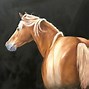 Image result for Horse Oil Paintings On Canvas