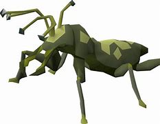 Image result for Cave Cricket Bug
