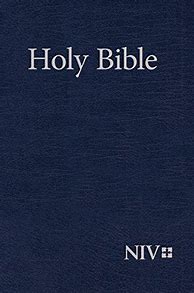 Image result for NIV Bibles Blue