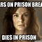 Image result for Prison Break MEMS