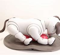 Image result for White Aibo Robot Dog