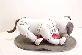 Image result for Aibo Ers