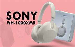 Image result for Sony WH 100