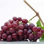 Image result for red grape varieties