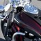 Image result for Triumph America Motorcycle