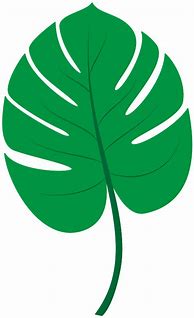 Image result for Green Tropical Leaves Cartoon