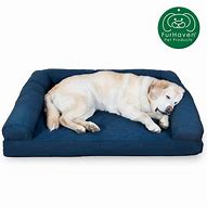 Image result for Best Gel Dog Beds Cool
