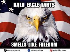 Image result for Eagle Arms Meme