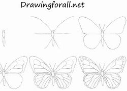 Image result for Aesthetic Butterfly Drawing Easy
