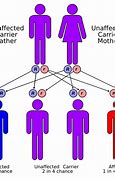 Image result for Compound Heterozygote
