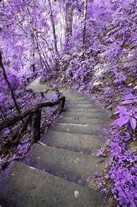Image result for Pastel Purple and White Background Aesthetic