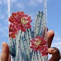 Image result for iPhone 7 Phone Cases Cactus
