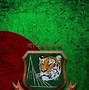 Image result for Bangladesh Cricket Players