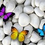 Image result for Blue Butterflies iPhone Wallpaper