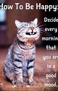 Image result for Happy Day Cat Meme