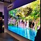 Image result for The Wall Biggest TV
