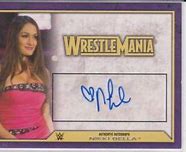 Image result for Nikki Bella Autograph
