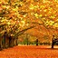 Image result for Country Fall Autumn Wallpaper