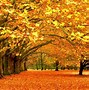 Image result for Autumn Desktop Background HD