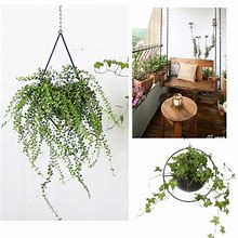 Image result for Metal Mesh Plant Hanger Ceiling