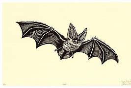 Image result for Bat Woodcut