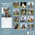 Image result for American Pit Bull Terrier Calendar