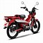 Image result for Small Honda Bikes for Adults