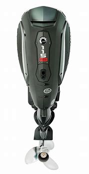 Image result for Evinrude 115 HP G2 Outboard