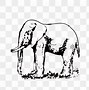 Image result for Elephant Clip Art Black and White