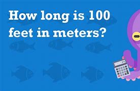 Image result for 100 Ft. to Meters
